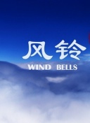 2018现在什么直播最火